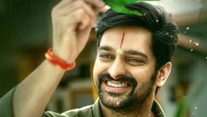 కృష్ణ వ్రింద విహారి — foto 1