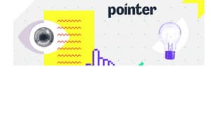 Pointer — foto 2