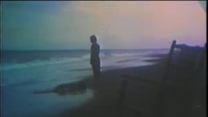 消しゴム — foto 1