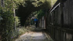 Lost Cat — foto 1