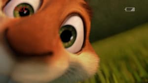 La Aventura del Hammy y su Boomerang — foto 1