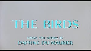 Episodio 78