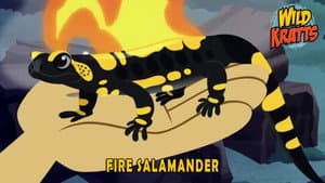 Episodio 5