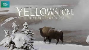 Yellowstone — foto 2