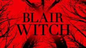 La bruja de Blair — foto 2