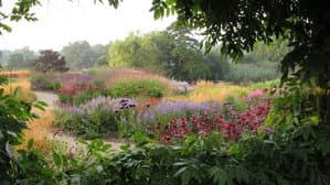 Five Seasons: The Gardens of Piet Oudolf — foto 5