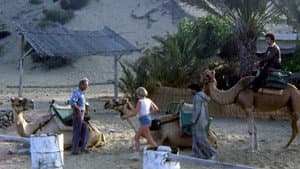 Macumba sexual — foto 11