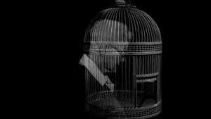 Empty Nest — foto 1