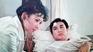 不该凋谢的玫瑰 — foto 1