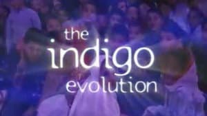 The Indigo Evolution — foto 1