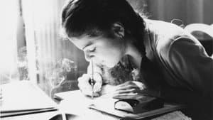 Love, Gilda — foto 3