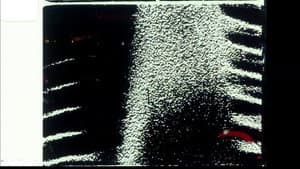 Echoed Silence — foto 7