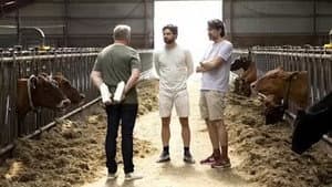 Episodio 8