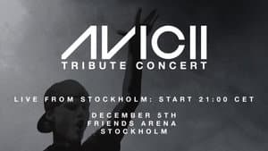 Avicii Tribute Concert - In Loving Memory of Tim Bergling — foto 1