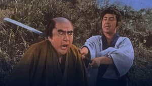 天竜母恋い笠 — foto 1