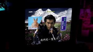 三月的野兔 — foto 2
