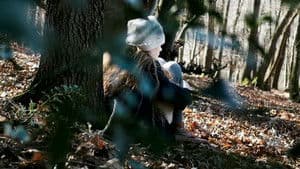 Misha and the Wolves — foto 3