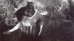 The Devil Bear — foto 1