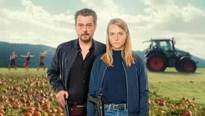 Steirerstern — foto 1