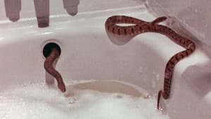 Rattlers — foto 2
