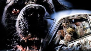 Cujo — foto 3
