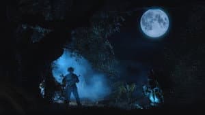 Commando Ninja 2: Invasion America — foto 2