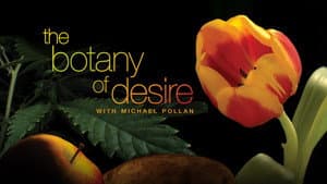 The Botany of Desire — foto 4