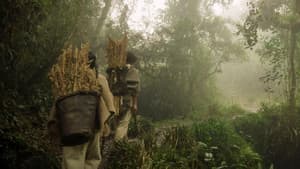 En el valle de las sombras — foto 2