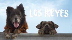 Los Reyes — foto 2