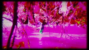 Bigfoot's Bride — foto 4