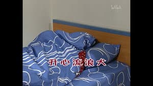 Episodio 728