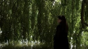 Que reste-t-il de nous ? — foto 1