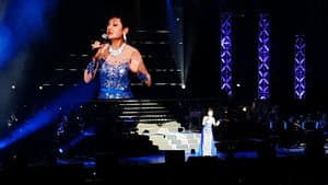 叶丽仪 45年香港情演唱会 — foto 1