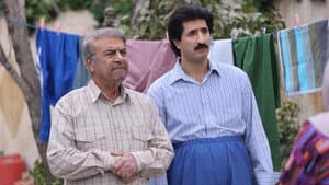 اکازیون — foto 2
