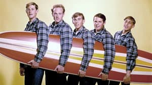 The Beach Boys: Live At Knebworth — foto 1