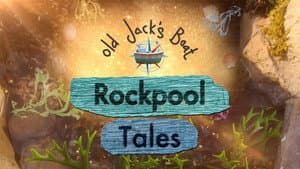 Old Jack's Boat: Rockpool Tales — foto 1
