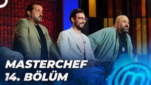 Episodio 14