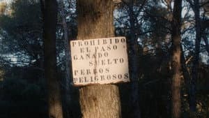Provocadora — foto 7