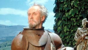 Don Quixote — foto 3