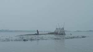 দেলুপি — foto 1