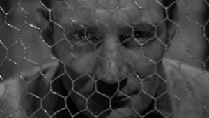 They Made Me a Fugitive — foto 3