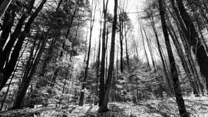 the creek — foto 3