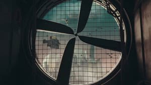 Floaters — foto 4