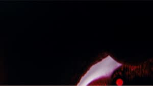 Bela Belara's A Vampire — foto 1