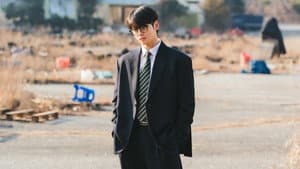원더풀스 — foto 8