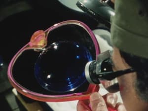 Episodio 14