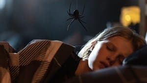 Sting. Araña asesina — foto 3