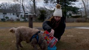 Lost Dog — foto 1