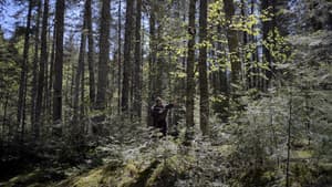 Kakatshat — foto 2