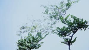 Hypothesis of Barrier Agreed Upon — foto 1